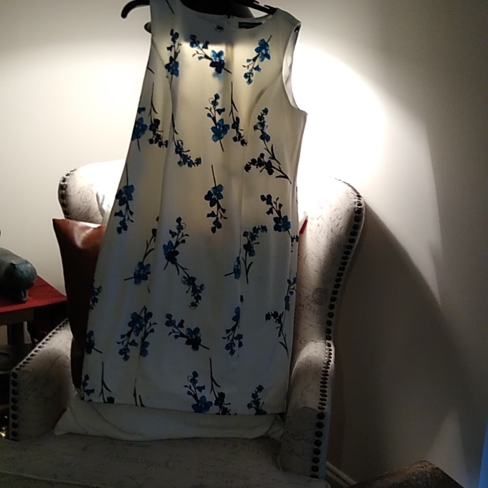 Size 14 American Living dress